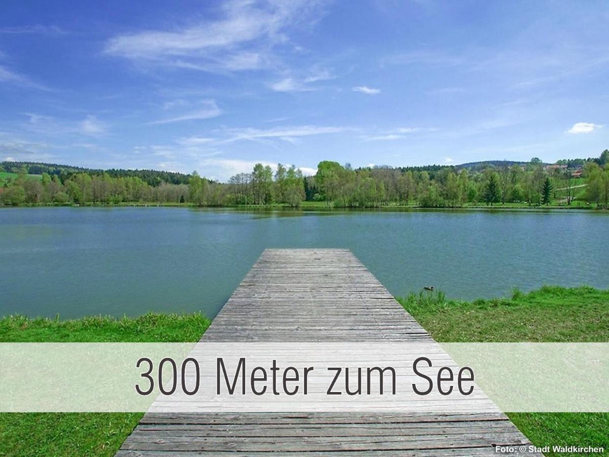 Huette41: Ganze Huette Nah Am See Mit Privatem Whirlpool, Sauna. Umzaeunt. Waldkirchen Buitenkant foto