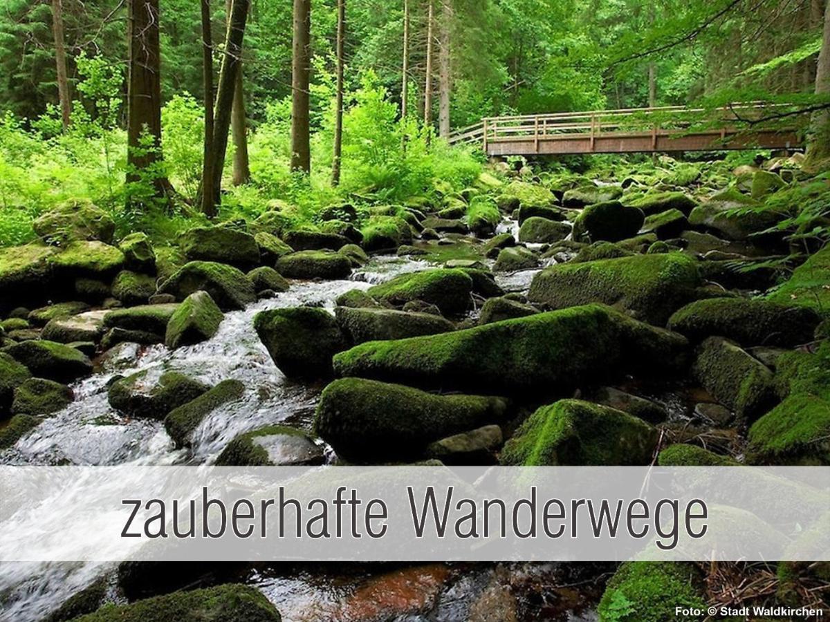 Huette41: Ganze Huette Nah Am See Mit Privatem Whirlpool, Sauna. Umzaeunt. Waldkirchen Buitenkant foto