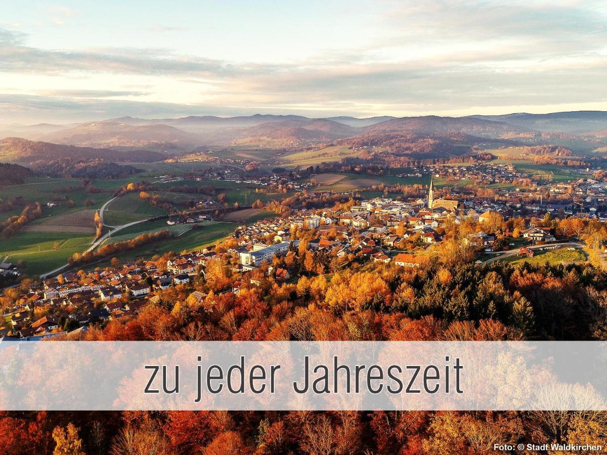 Huette41: Ganze Huette Nah Am See Mit Privatem Whirlpool, Sauna. Umzaeunt. Waldkirchen Buitenkant foto