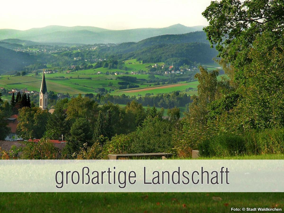 Huette41: Ganze Huette Nah Am See Mit Privatem Whirlpool, Sauna. Umzaeunt. Waldkirchen Buitenkant foto