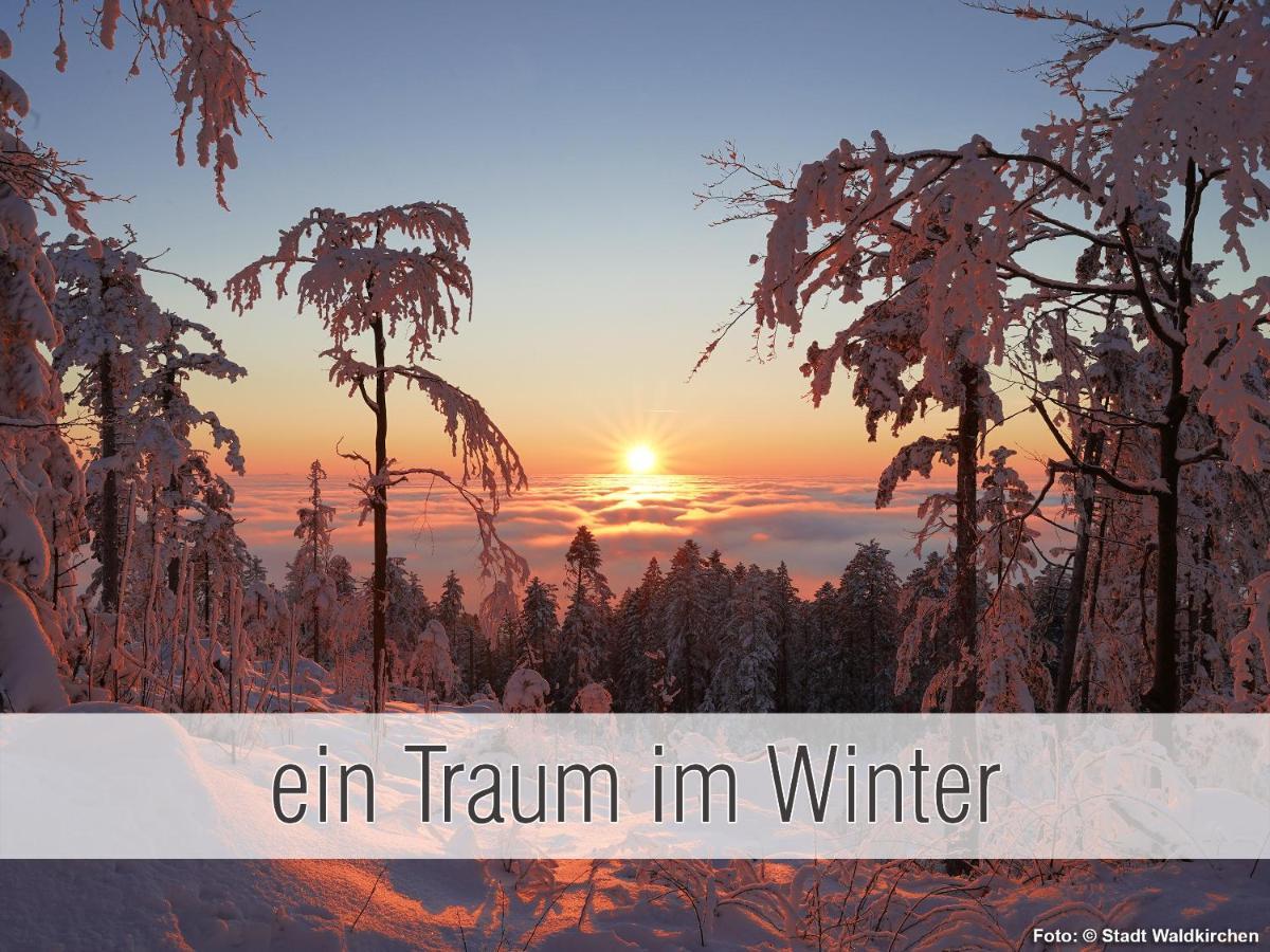 Huette41: Ganze Huette Nah Am See Mit Privatem Whirlpool, Sauna. Umzaeunt. Waldkirchen Buitenkant foto