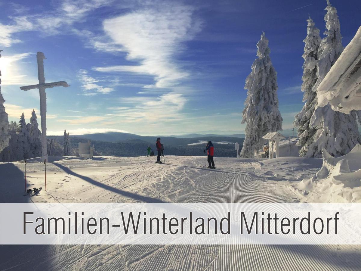 Huette41: Ganze Huette Nah Am See Mit Privatem Whirlpool, Sauna. Umzaeunt. Waldkirchen Buitenkant foto