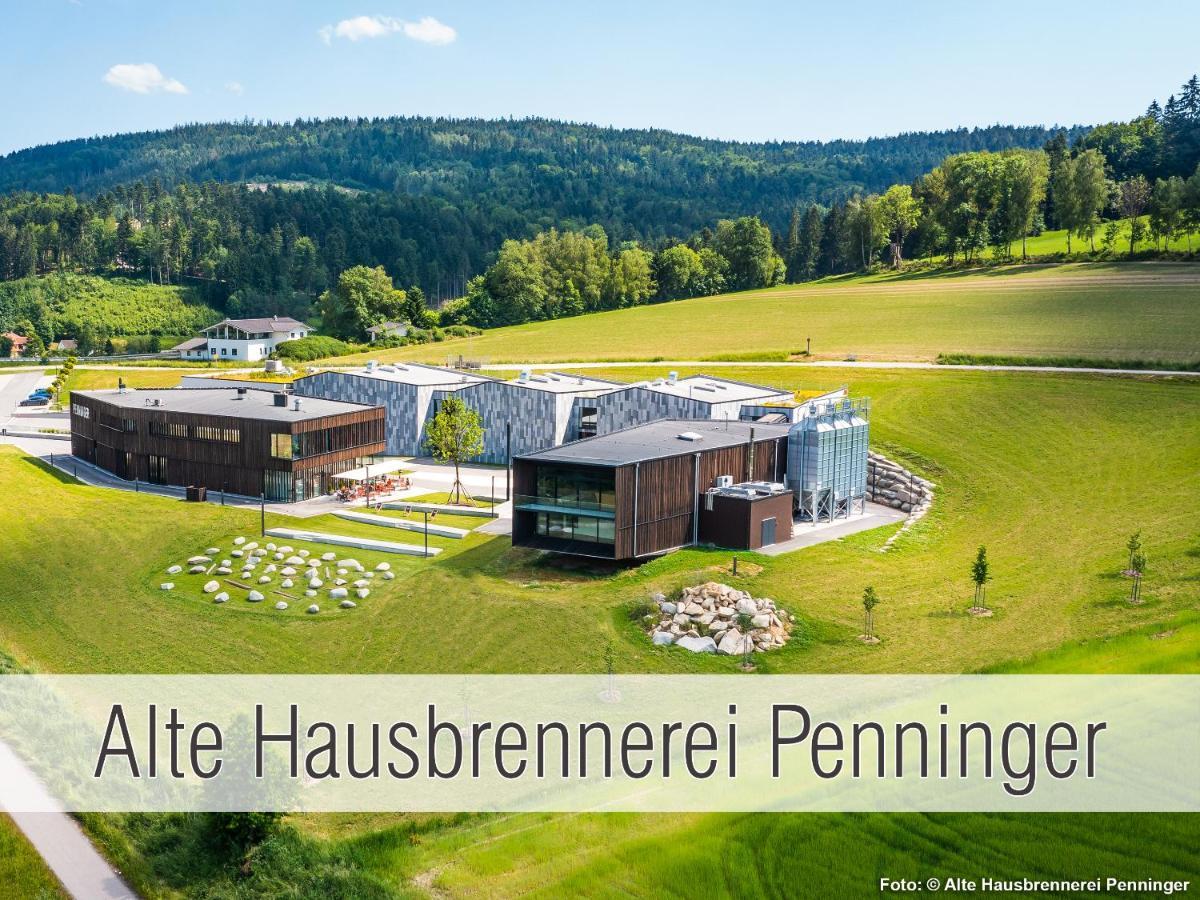 Huette41: Ganze Huette Nah Am See Mit Privatem Whirlpool, Sauna. Umzaeunt. Waldkirchen Buitenkant foto
